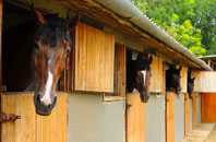 free Wilderswood stable construction quotes